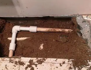 大冶测漏水哪家好