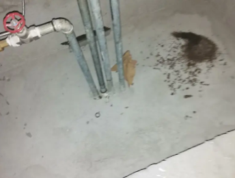 大冶卫生间测漏水价格明细